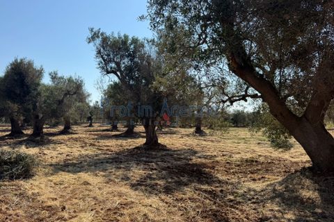 Farm hus i Ostuni, Brindisi, Ostuni - € 58.000 | Ref: 172934 - foto 2
